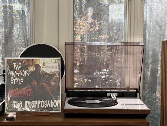 The Paranoid Style - The Interrogator LP cover.

A picture of Elizabeth Nelson in a lounge chair in what is likely her living room.