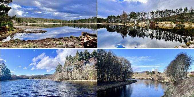 Four photo l collage of loch and river, each taken on sunny, late winter days. Top left and right: stretch of water with pine trees in the background perfectly reflected in the water. Bottom left and right: river flowing with tree at either side and views of the Mither Tap hill in the distance.