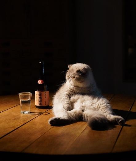 Photography. A color photo of a gray Persian cat with a Japanese bottle of Shōchū. The Persian cat is sitting upright like a human with its legs stretched out on a wooden tabletop, next to the bottle and the filled glass. It has one paw on its belly and is looking around, which looks quite funny. It looks like she's had a night out. (It is dark around the table).
Info:
Shochu is a traditional Japanese distilled drink made from a variety of products, such as rice, wheat, chestnuts, potatoes, etc. The alcohol content is around 25 percent.