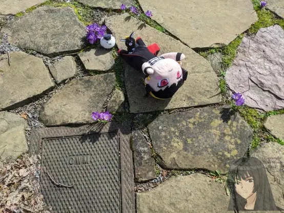 Yor neso on her back with Tippy and Anko plushies. Crocus coming up through the cracks in the paving stones.