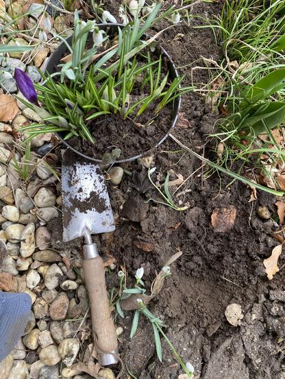 Schaufel und Topf im Beet mit Frühblühern