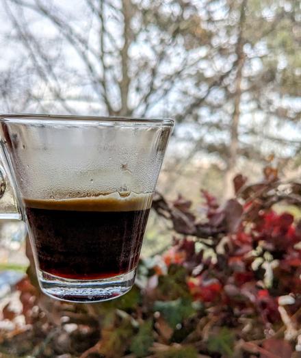 Espresso, ready to drink, glass against some flowers behind the window.