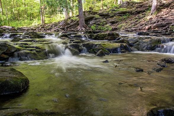 A small waterfall cascades over some rocks in the forest of Hilton Falls Conservation Area near Milton, Ontario.