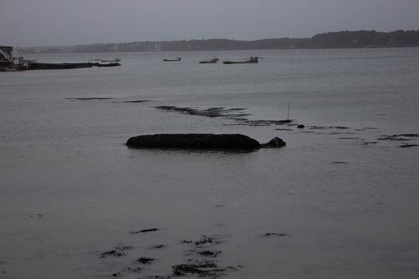 Le menhir de Mein Er Mere est étendu au centre de l'image, horizontalement. Il est couvert d'algues. La mer est basse et le menhir est pourtant à moitié couvert d'eau. Au fond, le golfe du Morbihan et quelques bateaux.