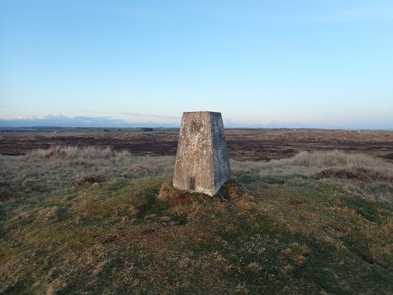 Sand of Forvie trigpoint. The high point of a vast dune system.