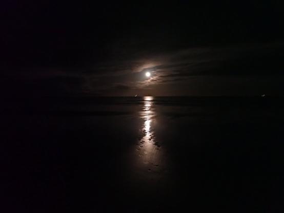 Dark now, the moon was not long up. It's light reflecting on the sea and across the wet sand to us.