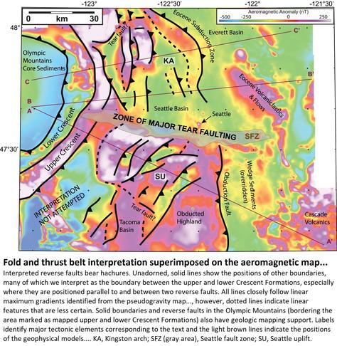 map and model - Fold and thrust belt interpretation superimposed on the aeromagnetic map shown in Figure 4. Interpreted reverse faults bear hachures. Unadorned, solid lines show the positions of other boundaries, many of which we interpret as the boundary between the upper and lower Crescent Formations, especially where they are positioned parallel to and between two reverse faults. All lines closely follow linear maximum gradients identified from the pseudogravity map (Figure 5), however, dotted lines indicate linear features that are less certain. Solid boundaries and reverse faults in the Olympic Mountains (bordering the area marked as mapped upper and lower Crescent Formations) also have geologic mapping support. Labels identify major tectonic elements corresponding to the text and the light brown lines indicate the positions of the geophysical models in Figures 8-10. KA, Kingston arch; SFZ (gray area), Seattle fault zone; SU, Seattle uplift.