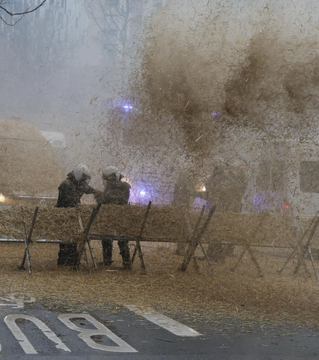 Farmers literally throwing shit at the police 💖