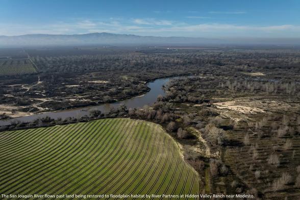 aerial photo - oblique - The San Joaquin River flows past land being restored to floodplain habitat by River Partners at Hidden Valley Ranch near Modesto.