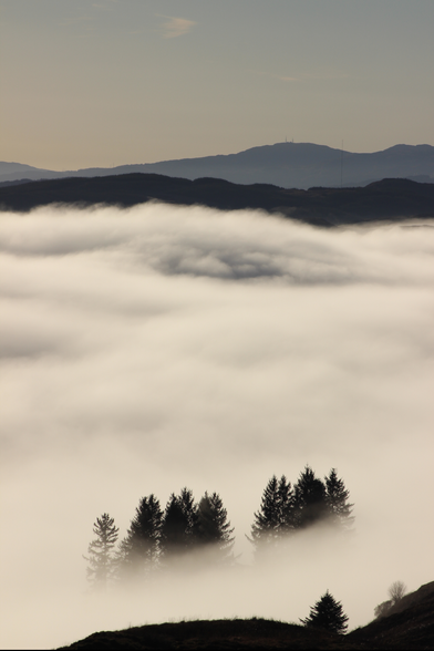 Temperature Inversion over Loch Awe West Coast Scotland. Blue skies above, fluffy white clouds below. Hills on the horizon. A clump of Sitka spruce tops poke out of the cloud in the fore-middleground