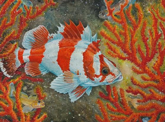 flagrock fish with deep sea coral and blackeye gobies.