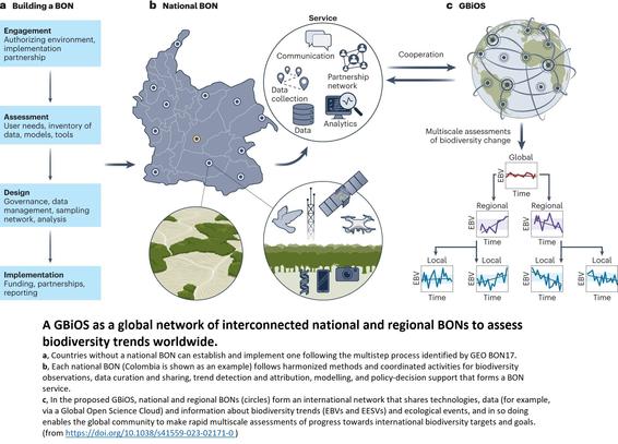 schematic / maps / flow chart / graphics - A GBiOS as a global network of interconnected national and regional BONs to assess biodiversity trends worldwide.
