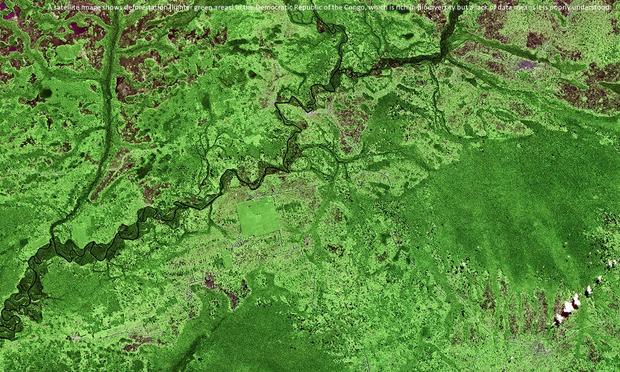 imagery - remote sensing - false colour - A satellite image shows deforestation (lighter green areas) in the Democratic Republic of the Congo, which is rich in biodiversity but a lack of data means it is poorly understood.