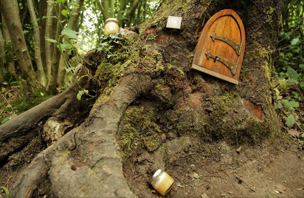 #HuntingForHoney in #AshdownForest