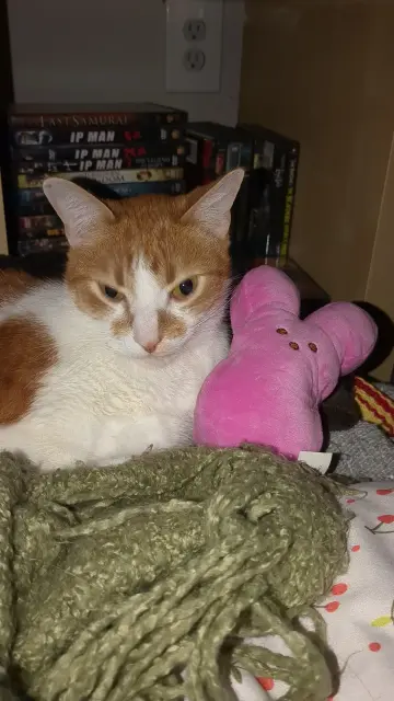 me (orange man) and son (pink peep)