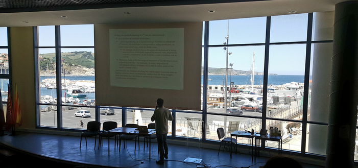 Vue de la salle où ont lieu les séances de l'École d'été. La photo a été prise en 2022, lors d'une École d'été sur le même thème, organisée par la même équipe. Par la vaste baie vitrée, on voit une mer bleue, un ciel blanc-bleu de grand beau temps, et une colline méditerranéenne en partie boisée, qui menacent de voler la vedette à l'orateur (Sylvain Loiseau, l'un des organisateurs) qui apparaît sur l'estrade au premier plan.