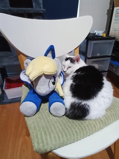 Plushie of Derpy Hooves wearing a hoodie sitting next to Derpy Daisy, a Piebald cat.