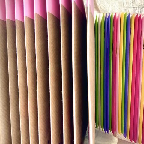 A lot of envelopes in a canvas bag, packed up ready to mail - these contain correspondence from detective Tso 🙂🦉