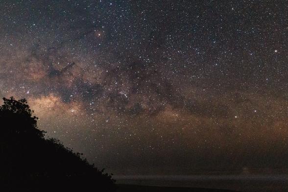 [Image ID: A photo of the Milky Way from a beach at night. On the left is a triangular mound of plants in shadow. There is a white stripe of ocean waves in the lower part of the photo. The sky is purple and slightly orange and pink with many stars. End description.]
