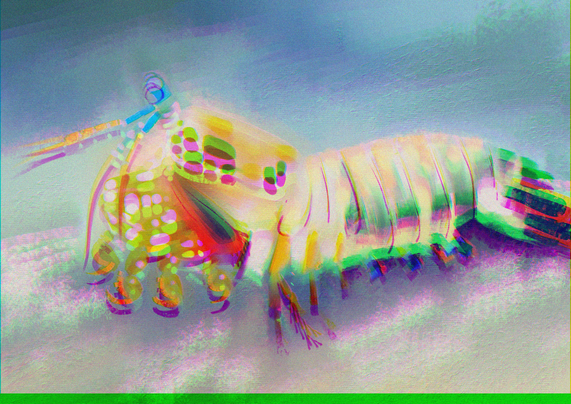 A blurry paint study of a rainbow mantis shrimp on the sandy ocean floor.