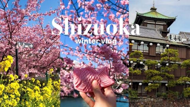 Shizuoka travel vlog/Kawazu sakura/early cherry blossom in Japan/Izu/Ito/onsen/tokaikan/gotemba