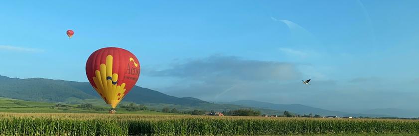 Une montgolfière dans un champ de maïs avec une cigogne volant à basse altitude à proximité, la montagne en arrière-plan.