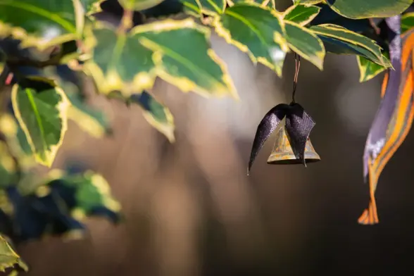 a bell hanging from a branch of a holly. A mourning band in the shape of wings is tied to it, giving it the look of an angel with black wings