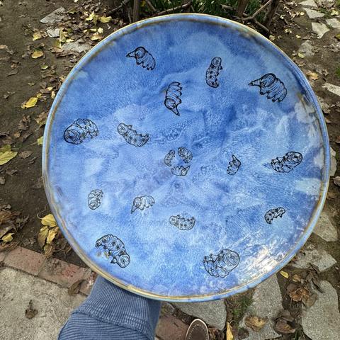 A 10 inch blue handbuilt stoneware serving bowl with my tardigrades illustrations on it.