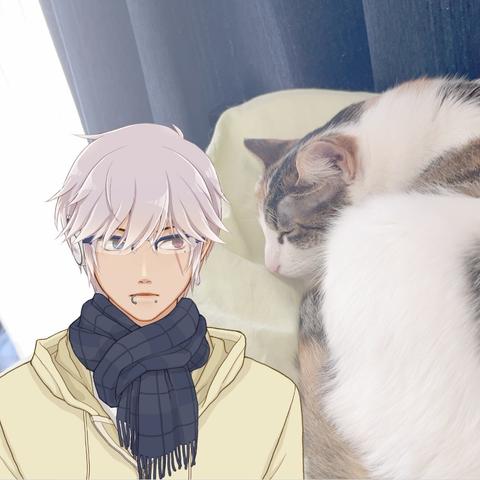 銀髪のAI男性キャラクターが猫を見つめている