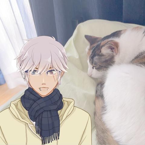 銀髪のAI男性キャラクターが猫から目を逸らしている