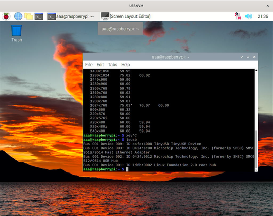 The raspberry pi desktop in a window titled "USBKVM". In the lsusb output in the terminal, there's a TinyUSB device.