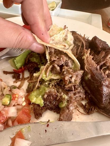 A person's hand holding a fluor tortilla with beef and guacamole over a plate of food with more beef, guacamole, chopped tomatoes, and peppers.