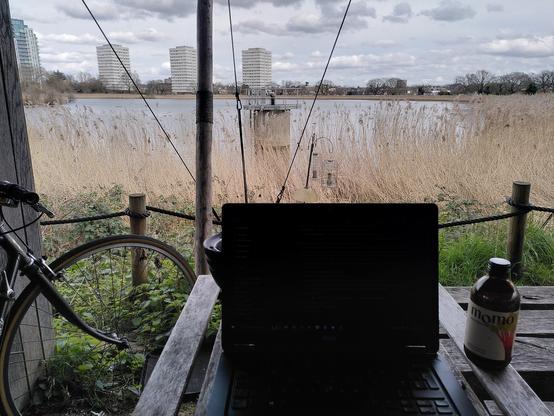 A laptop on a picnic table with a view behind of a wetland with reeds and open water
