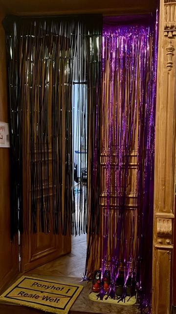 Double doorways with dark green and purple metallic strip curtains symbolizing Minecraft portals, and a door mat reading "Ponyhof | Reale welt" in between.