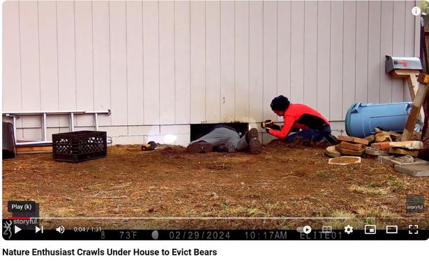 Three uninvited bears were evicted from underneath a home in South Lake Tahoe, California, video from February 29 shows. Credit: Toogee Sielsch via Storyful