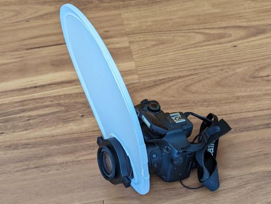 Canon PowerShot SX60 HS camera with Raynox DCR-250 macro lens and a collapsible flash diffuser.

The diffuser is an oval of white fabric.