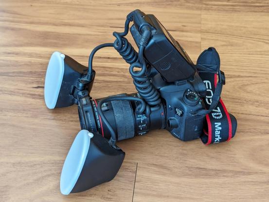 Canon EOS 7D camera with Canon EF 100 mm f/2.8L Macro IS USM lens and Canon MT-24EX twin macro flash