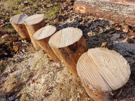 Flera kapade vedstycken där det syns olika mycket hur de sågats. De längst bort är sågade med lägre precision än de närmaste.