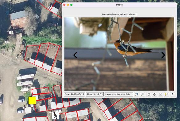 screen shot - QGIS - showing base map with vector polygons and a tagged photo example