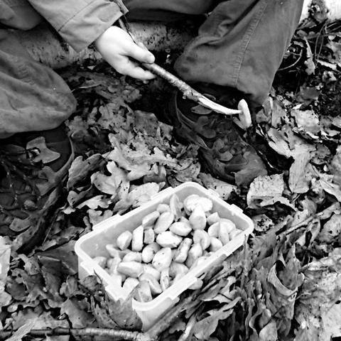 Eine Kinderhand pickt mit einem spitz und gekrümmt geschnitzten Holzstäbchen ein Gnocchi aus einer Dose heraus.