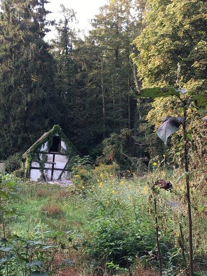 Foto: kleines windschiefes Fachwerkhäuschen auf Waldlichtung, umgeben von wildem Bewuchs.