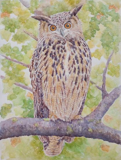 Eurasian Eagle Owl watercolor painting. Owl is perched on a branch.