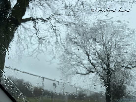 Rain droplets on a car window with blurry trees and a fence in the background. Photo by Carolyna Luna.