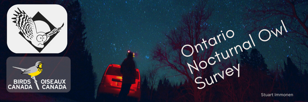 A volunteer illuminated by the red tail lights of a car looking up at a starry night sky.  The image includes the Birds Canada Logo, the Ontario Nocturnal Owl Survey logo and the text Ontario Nocturnal Owl Survey.
