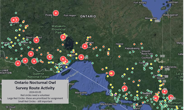 Map of owl survey route locations, red dots need a volunteer and the large red dots are prioritized, green dots are assigned.