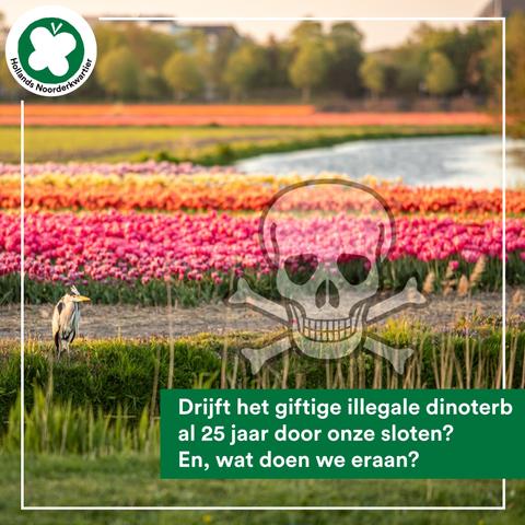 Foto van een reiger bij een sloot met tulpenvelden op de achtergrond en een zwevend semi transparant doodshoofd symbool en tekst:
Drijft het giftige illegale dinoterb al 25 jaar door onze sloten? En, wat doen we eraan?