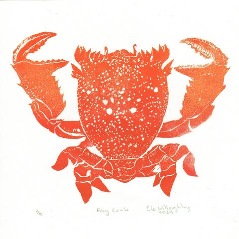 My frog crab (Ranina ranina) linocut print in orange and red on white washi paper, 8” x 8”. It’s viewed from above and has white spots and hairs.