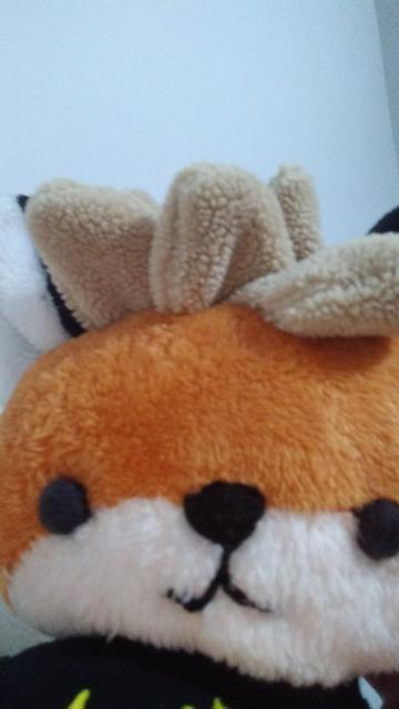 close up on the face of a xenia linux fox plushy. she is not wearing her glasses, so her half white/orange fur and small round eyes and nose are much more in view and focus.