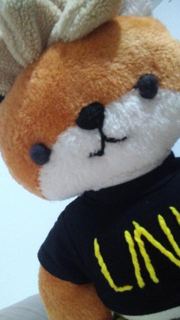 close up on the upper body of a xenia linux fox plushy. she is not wearing her glasses, so her half white/orange fur and small round eyes and nose are much more in view and focus. you can see part of her LINUX text tee shirt.