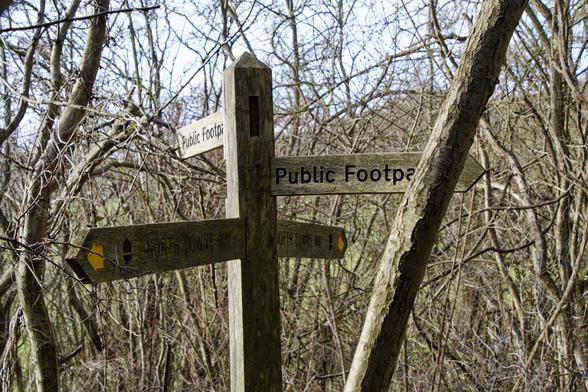 The top of a wooden fingerpost through tree branches. Two of them say &quot